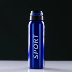 Термос "Sport" с поильником, 500 мл, сохраняет тепло 12 ч, микс, 6.5х27 см