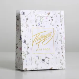 Пакет подарочный "Gift for you", 15×12×5.5