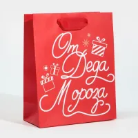 Пакет подарочный "От Дедушки Мороза", 15×12×5.5