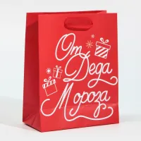 Пакет подарочный "От Дедушки Мороза", 15×12×5.5
