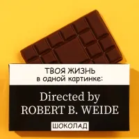 Шоколад молочный «Жизнь в одной картинке», 27 гр.