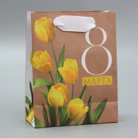Пакет подарочный крафт "Тюльпаны", 15×12×5.5