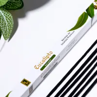 Благовония Zed Black "Eucalyptus, эвкалипт", 8 палочек