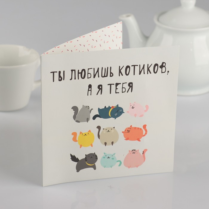 Шоколадная открытка "Ты любишь котиков, а я тебя"