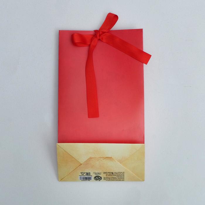 Пакет подарочный с лентой "Present", 13×23×7 см.