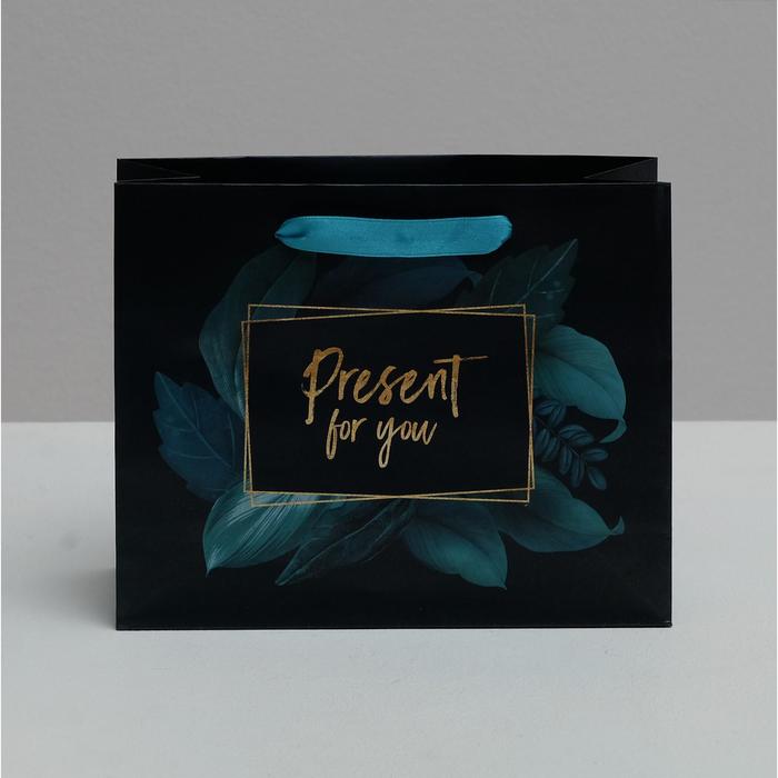 Пакет подарочный "Present for you", 22×17.5×8 см.