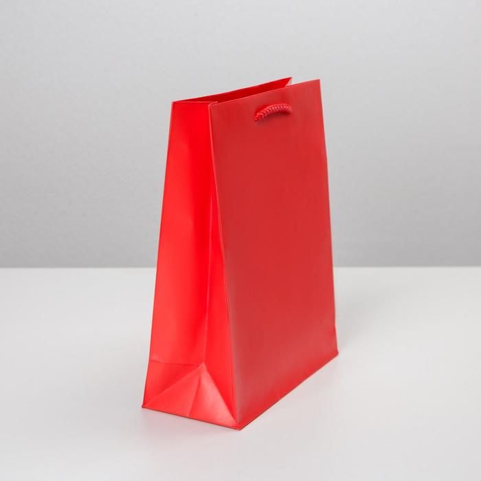 Пакет подарочный "Красный", 18×23×8