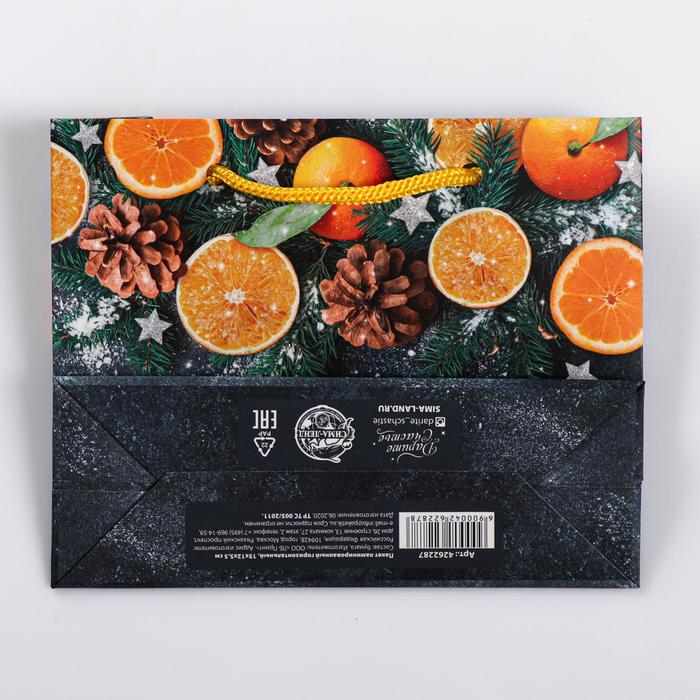 Пакет ламинированный горизонтальный «Мандарины», 5.5 × 15 × 12 см