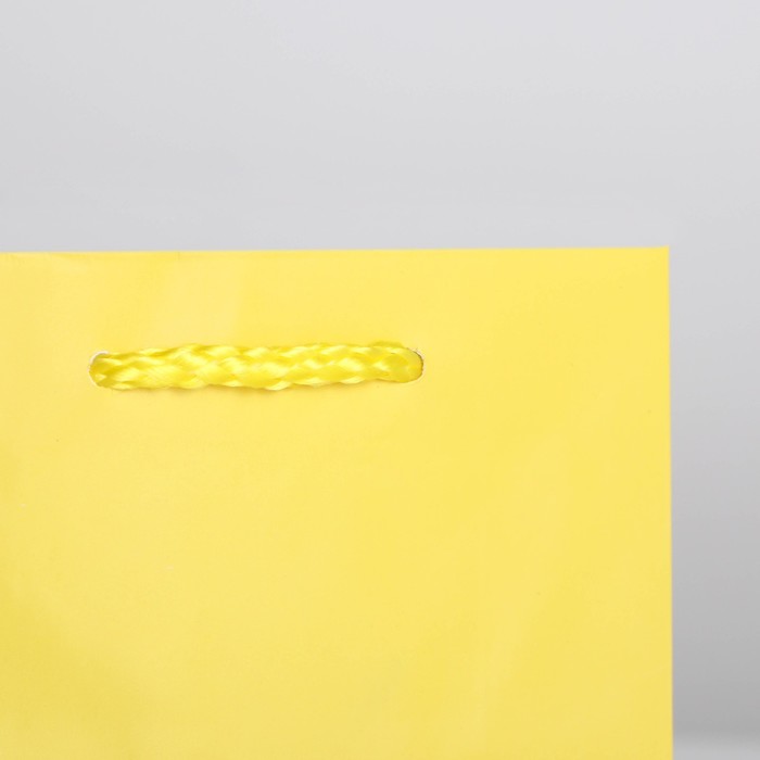 Пакет подарочный "Жёлтый", 12×15×5.5