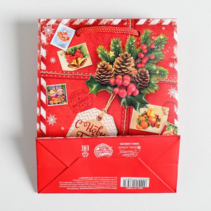 Пакет подарочный "Подарок от Деда Мороза", 12×15×11.5