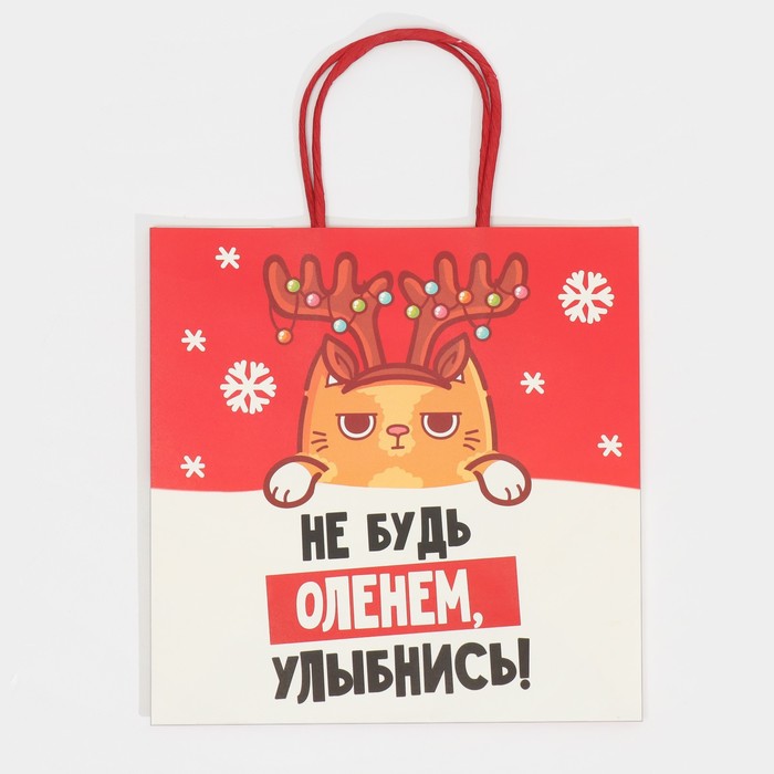 Пакет подарочный "Не будь оленем", 22×22×11