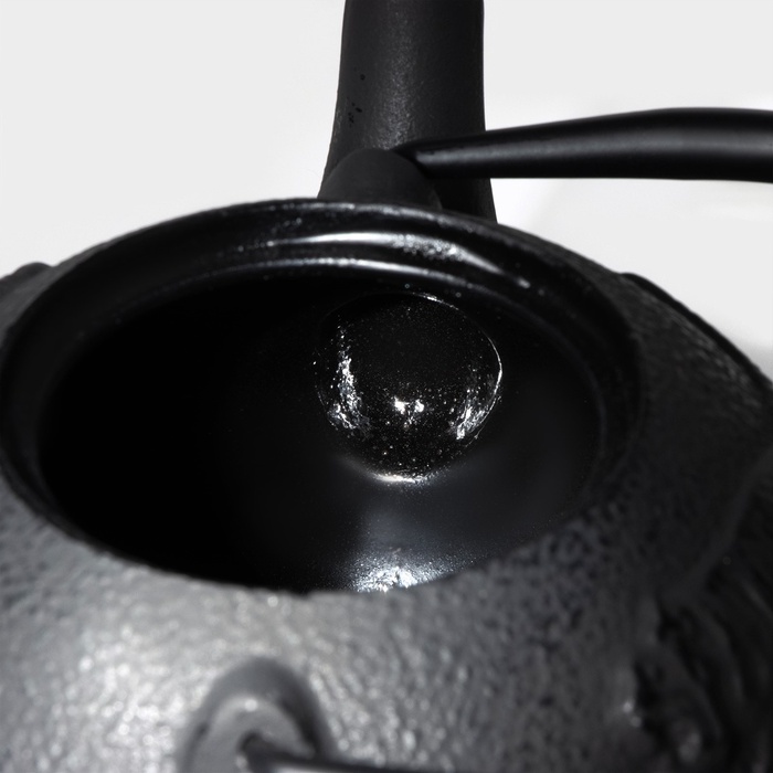 Чайник чугунный с ситом "Черный тигр", 700 мл