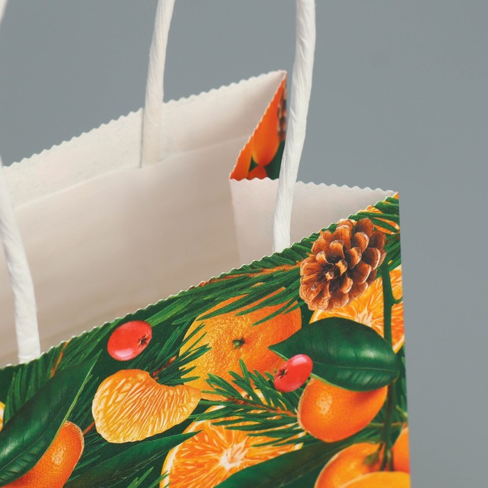 Пакет подарочный новогодний крафтовый "Мандариновое настроение", 15×10×6