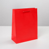 Пакет ламинированный "Красный", MS 18 х 23 х 8 см