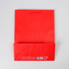 Пакет подарочный "Красный", 18×23×8