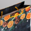 Пакет ламинированный горизонтальный «Мандарины», 5.5 × 15 × 12 см