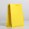 Пакет подарочный "Жёлтый", 12×15×5.5