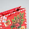 Пакет подарочный "Подарок от Деда Мороза", 12×15×11.5
